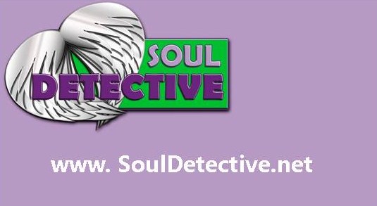 Soul Detective